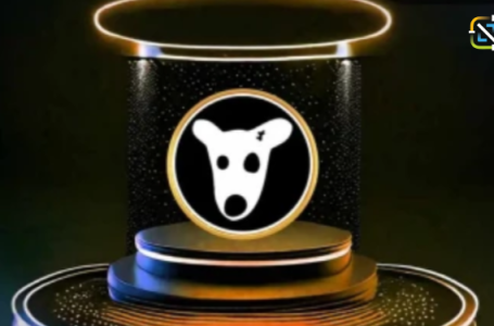 Impact of Pavel Durov's Arrest on DOGS Token Price Prediction