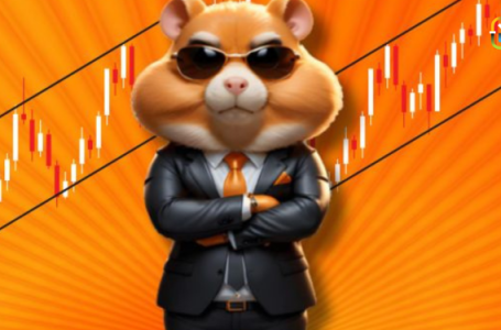 Hamster Kombat’s Daily Combo Cards for Aug 28, 2024: Maximize Your Earnings with These Winning Picks