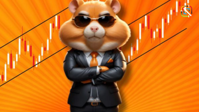 Hamster Kombat’s Daily Combo Cards for Aug 28, 2024: Maximize Your Earnings with These Winning Picks