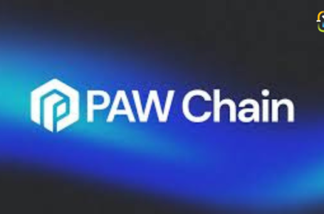 PAW Chain’s Layer 3 Blockchain: A New Frontier for Decentralized Applications