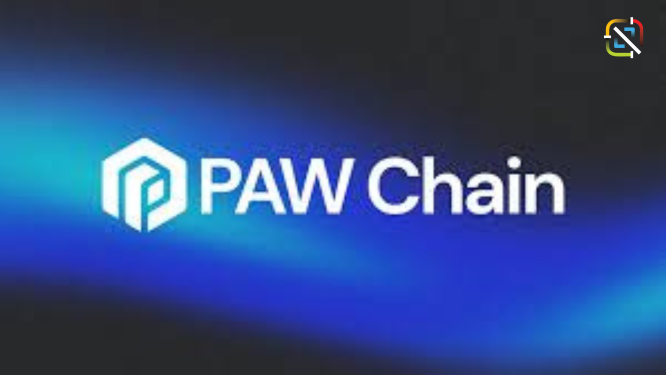 PAW Chain Unveils Revolutionary Layer 3 Blockchain for Next-Gen dApps