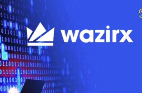 WazirX CEO Addresses Ownership Dispute and Withdrawal Issues Amid Ongoing Challenges