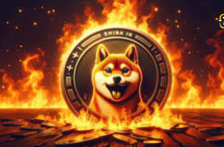 Shiba Inu (SHIB) Set to Launch Decentralized Autonomous Organization (DAO)