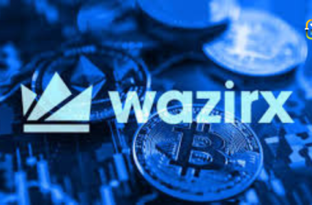 WazirX Cites External Factors for Delays in Restructuring Efforts